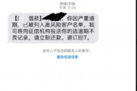 溆浦遇到恶意拖欠？专业追讨公司帮您解决烦恼