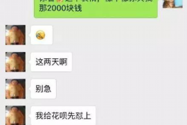 溆浦专业讨债公司有哪些核心服务？